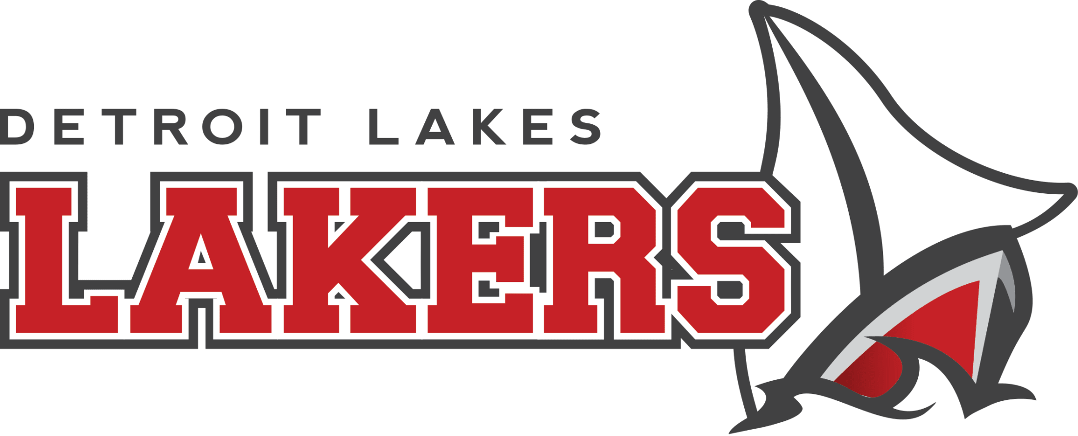 Detroit Lakes Public School District