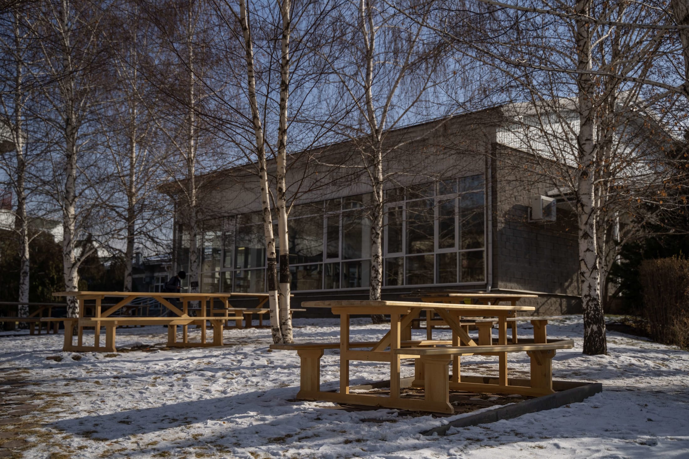 Birch Room