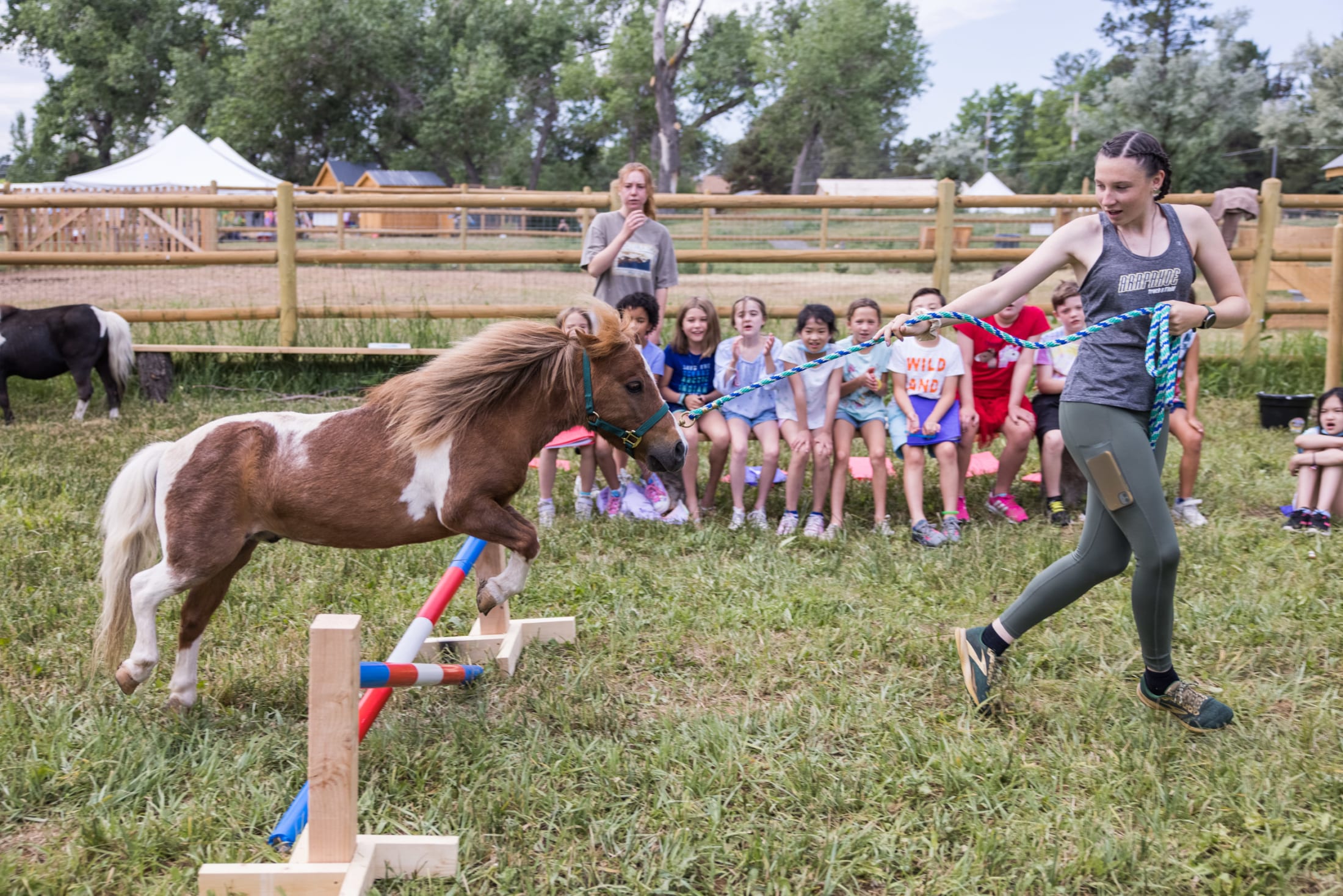 Tiny Farm Day Camp Kent Denver School