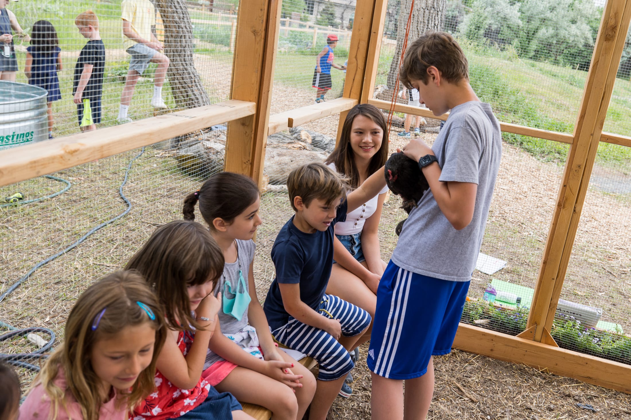 Tiny Farm Day Camp Kent Denver School