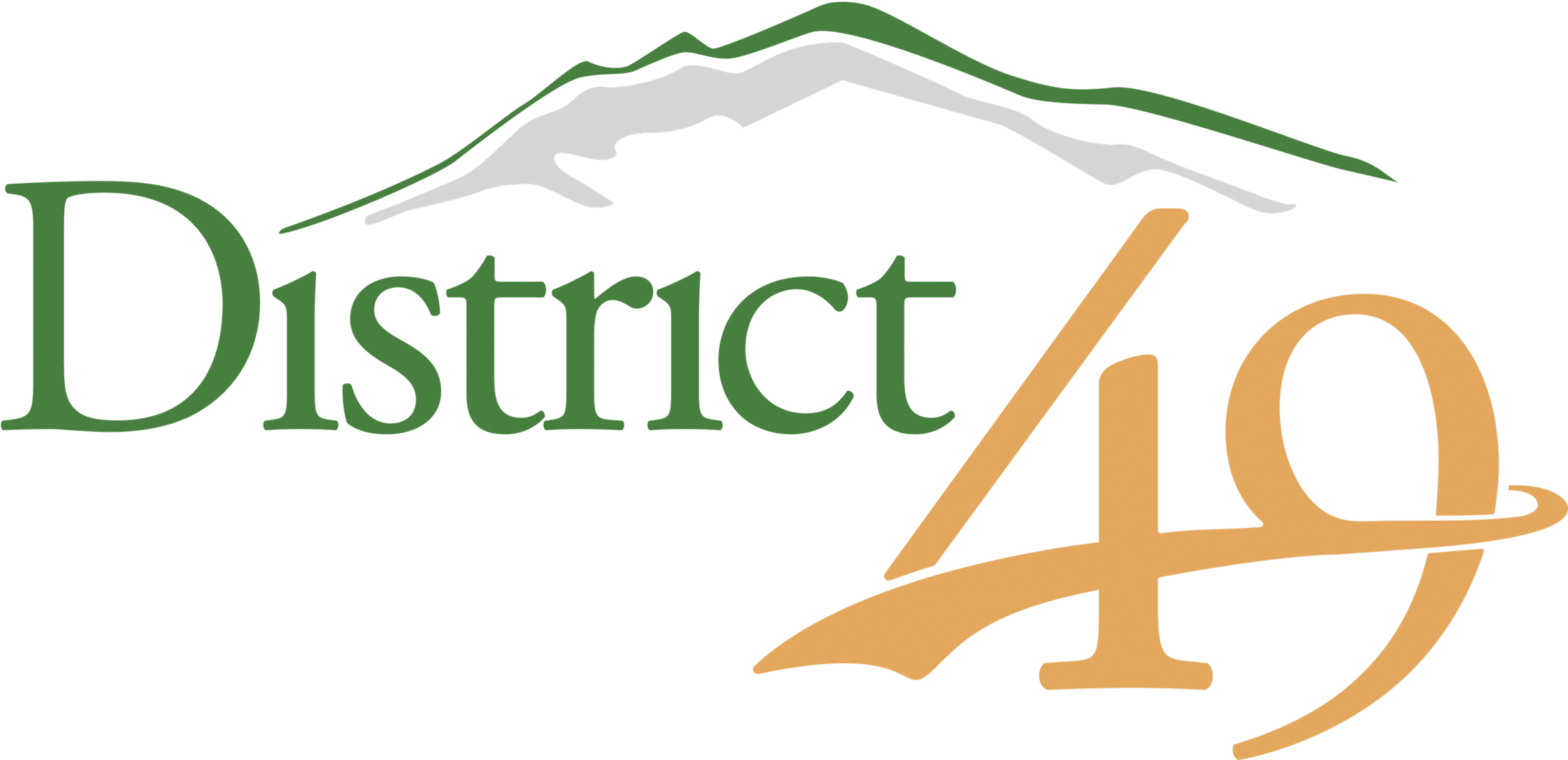 D49 Logo