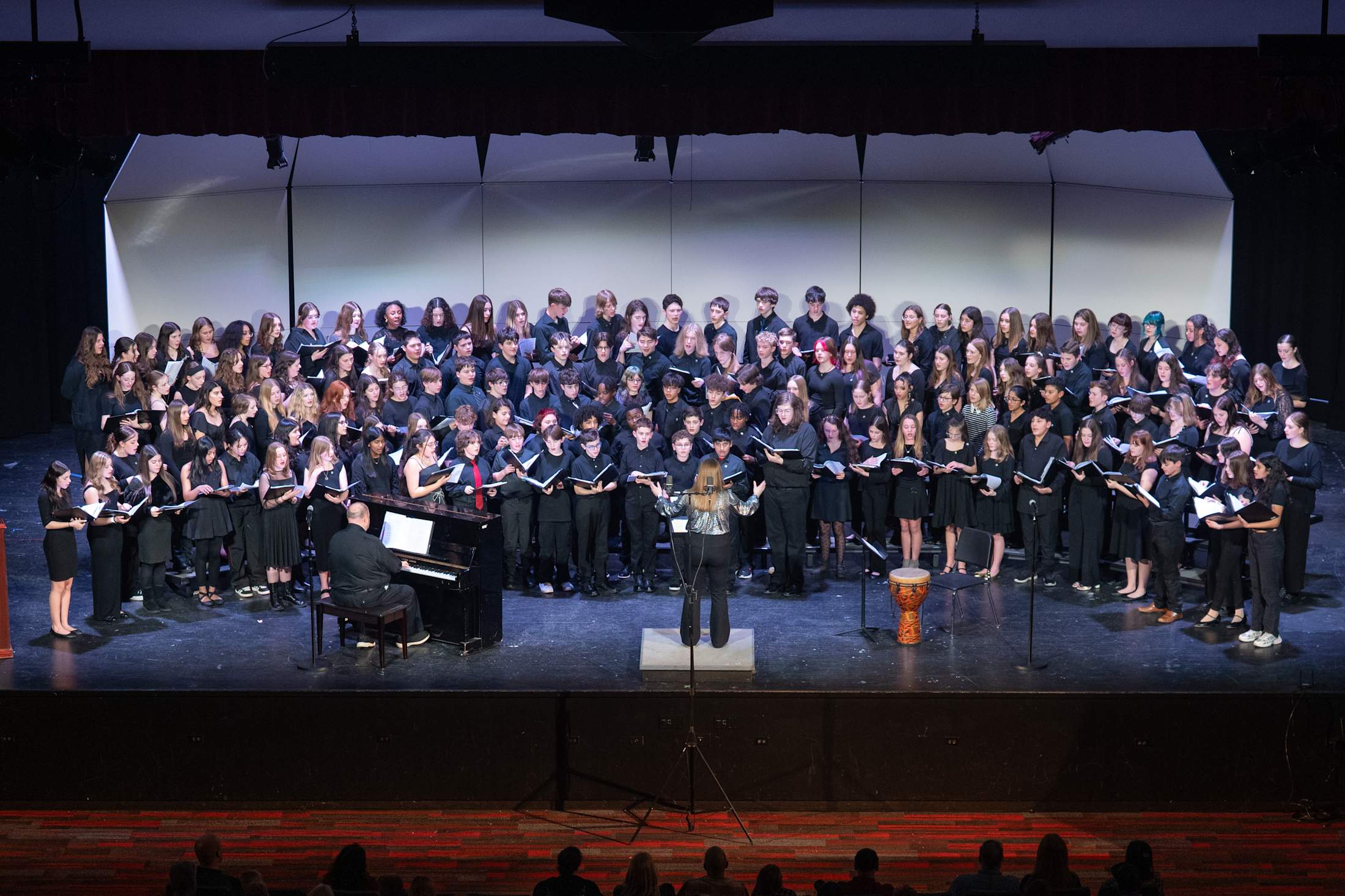 Saucon Valley band performance