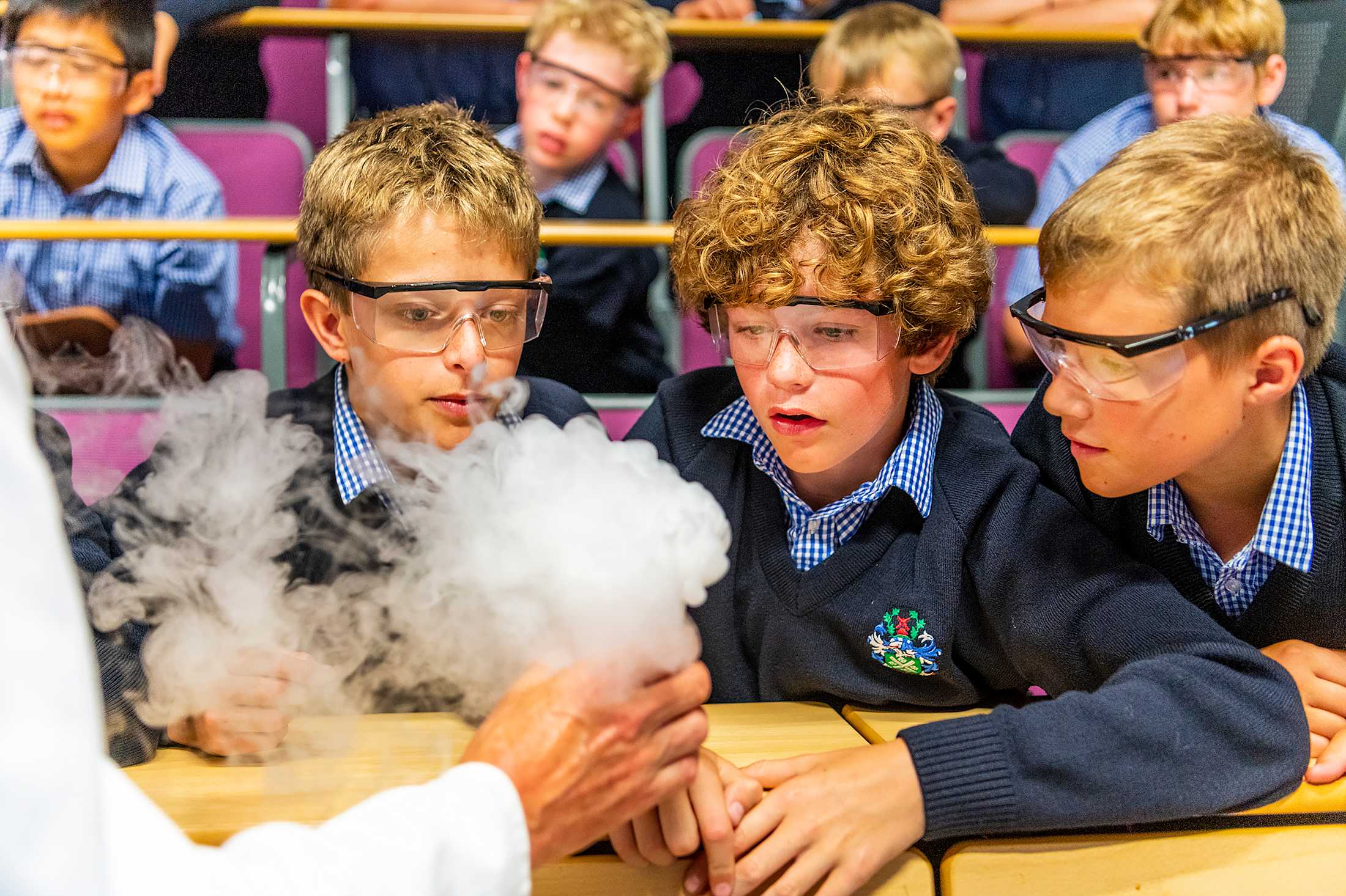 Millfield School logo