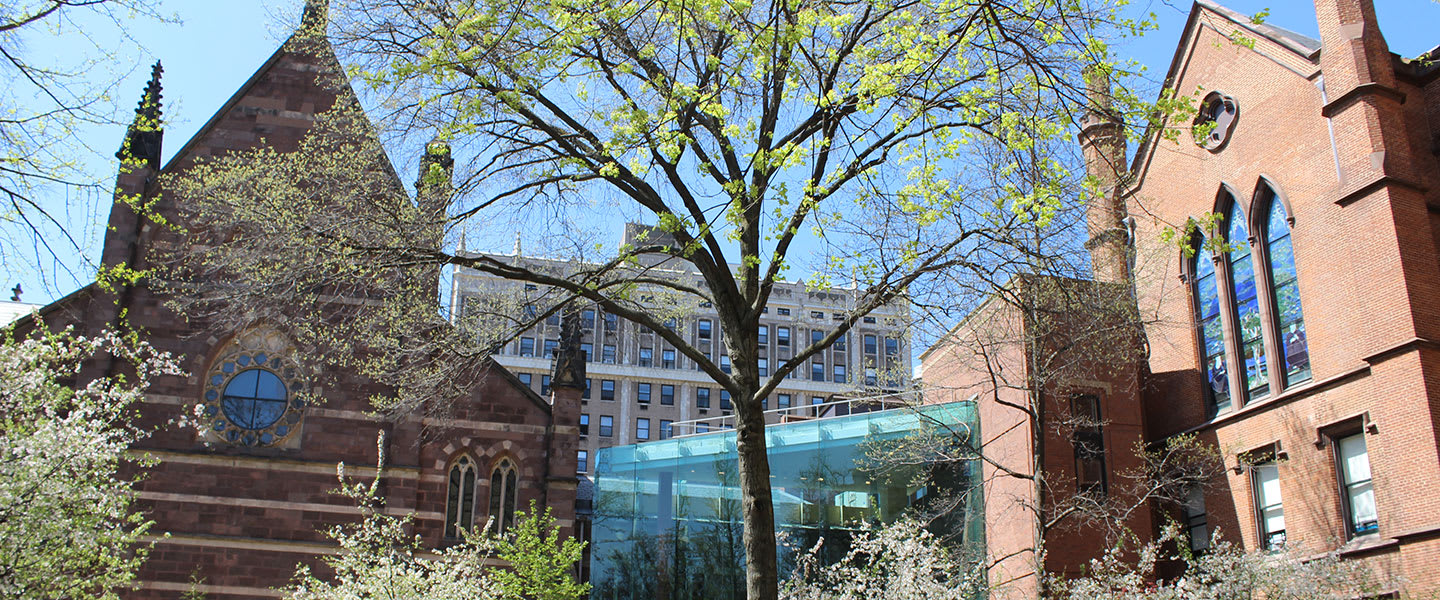 Packer Collegiate Institute Apparel Store