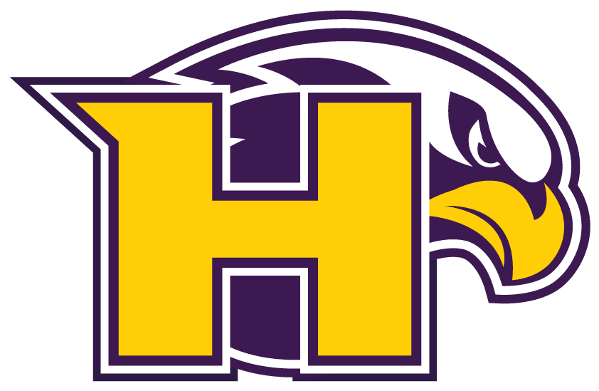 Falcons Logo