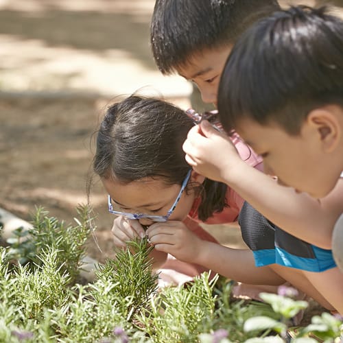 Village School Chadwick International