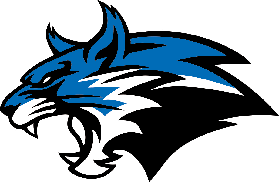 A stylized blue and black wildcat or cougar head with sharp fangs and an aggressive expression.