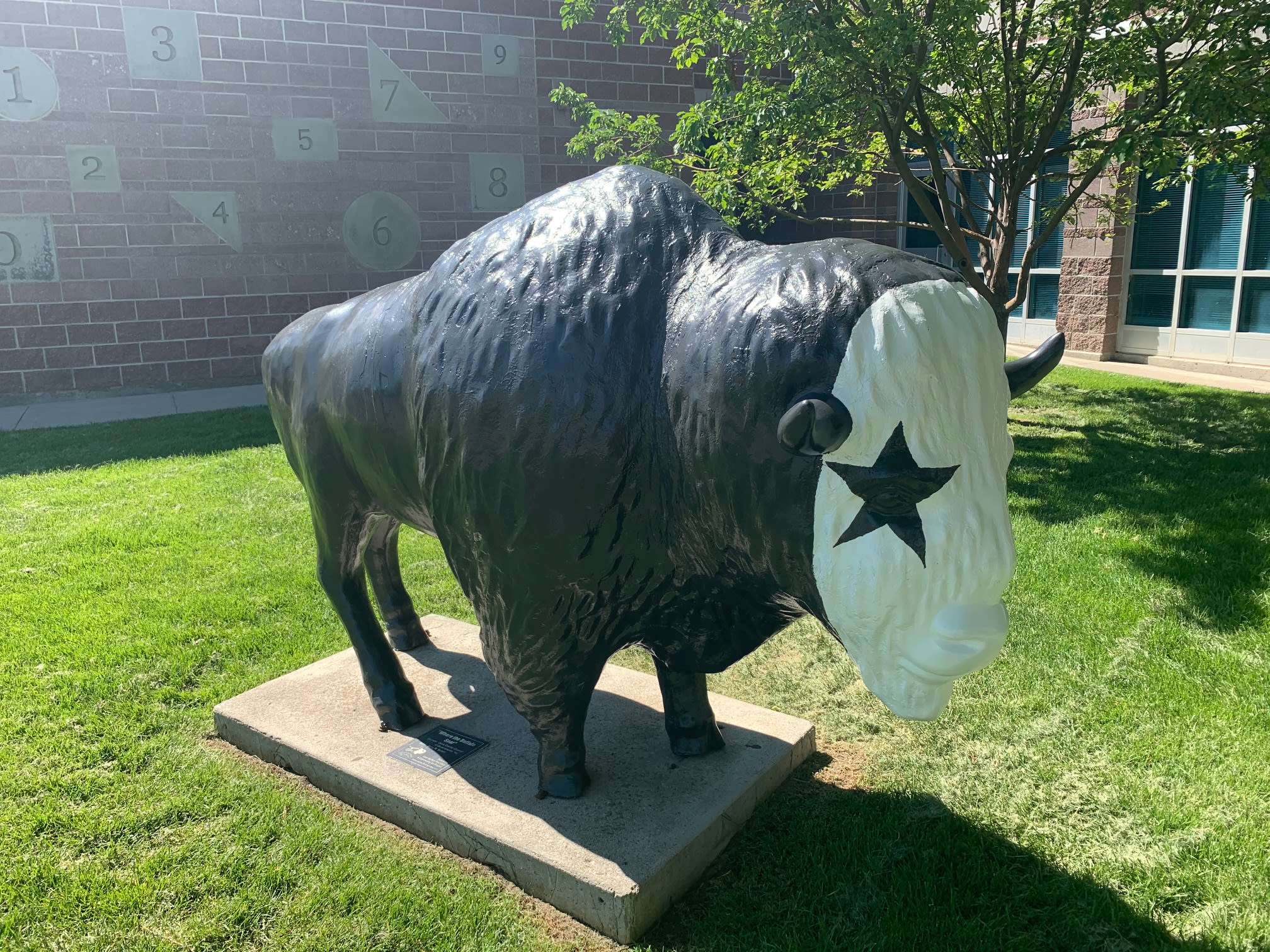 buffalo compensées