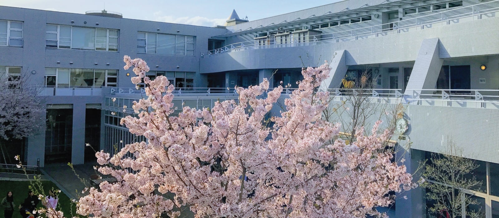 Osaka International School of Kwansei Gakuin — Arts