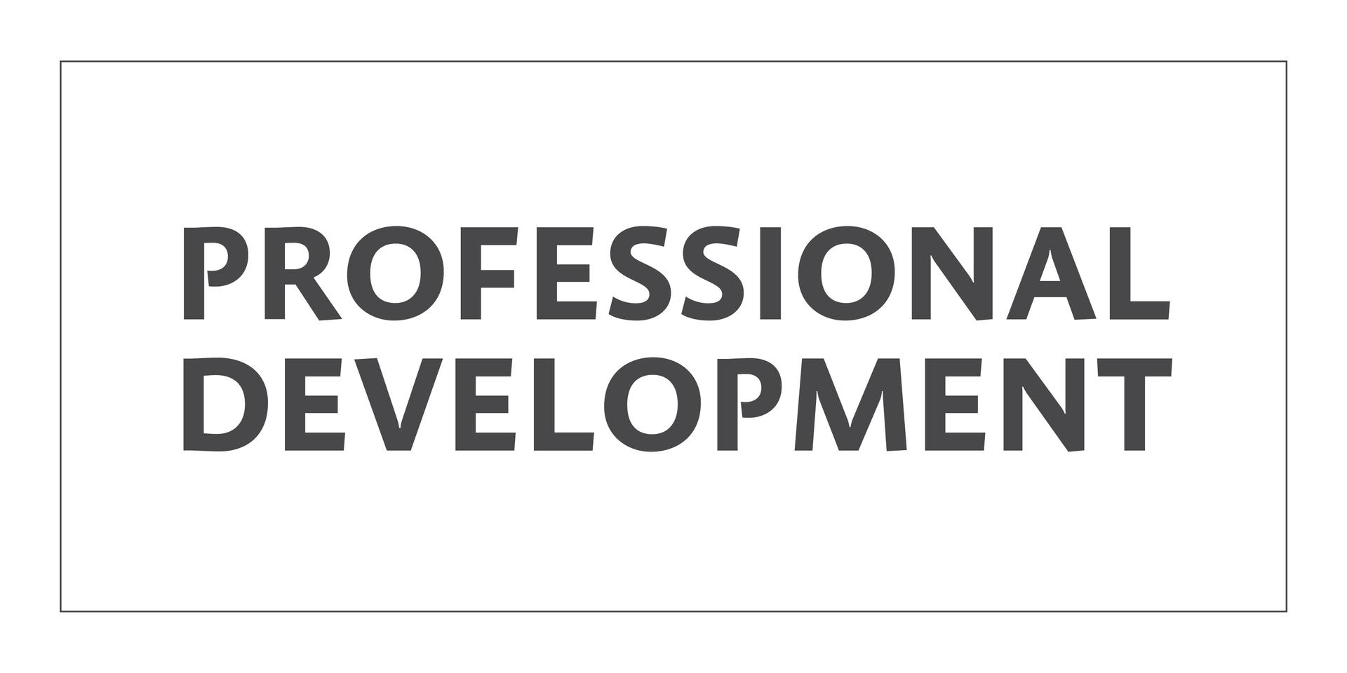 Professional Development