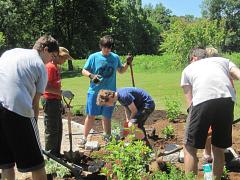 Volunteers Town of West Hartford