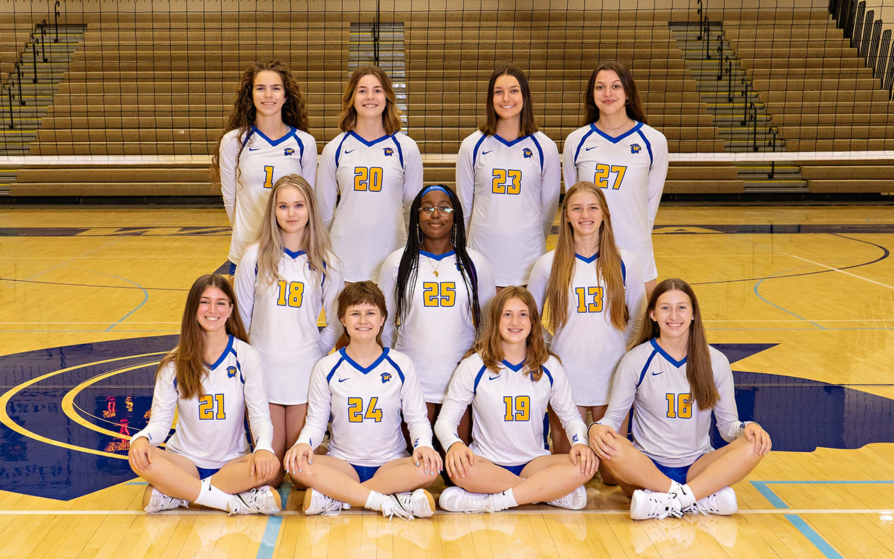 Volleyball Girls Wayzata Public Schools