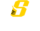 Sidney High School