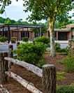 ミュージシャン Jackson Browne Happy Valley School STAFF Staff Directory - Jackson Community