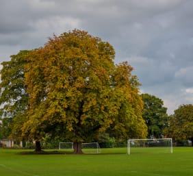 Prestfelde School — Campus