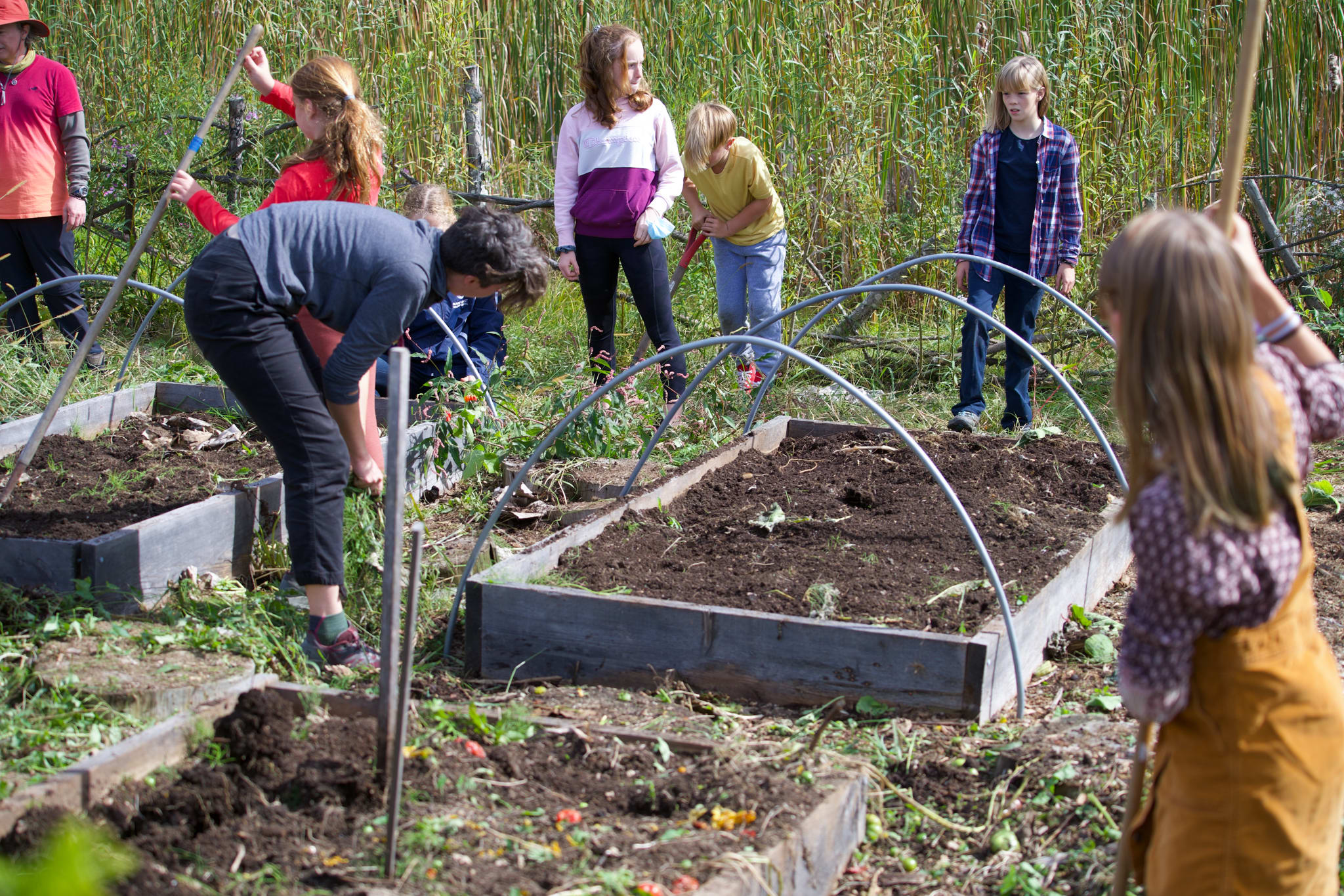 Ashwood Waldorf Education: A Reverence for Food - Maine Organic Farmers and  Gardeners