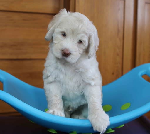 Jack when he was first born