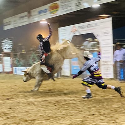 Bull Riding Professional Bull Riders Cowboy Rodeo 8 Seconds PNG, Clipart, 8  Seconds, Bull, Bull Riding