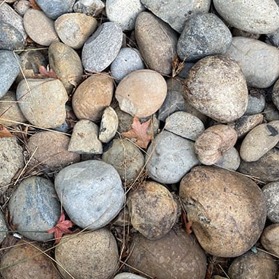 Pebble son the ground