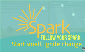 SPARK Introduction - The Public Schools of Northborough and Southborough