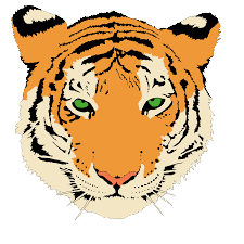 File:Holy Trinity Episcopal Academy Tiger Mascot.jpg - Wikimedia Commons