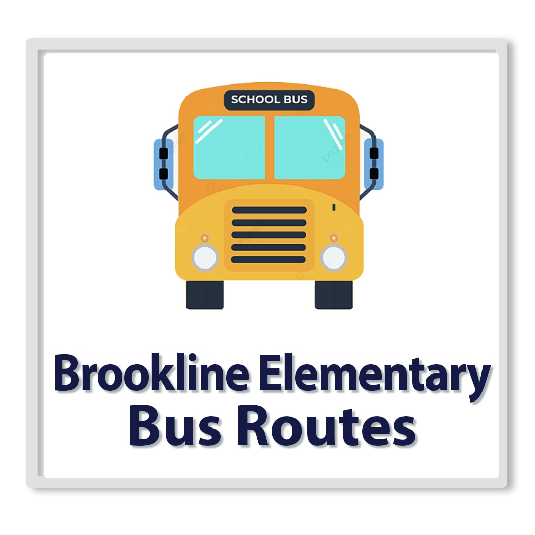 Brookline Bus 