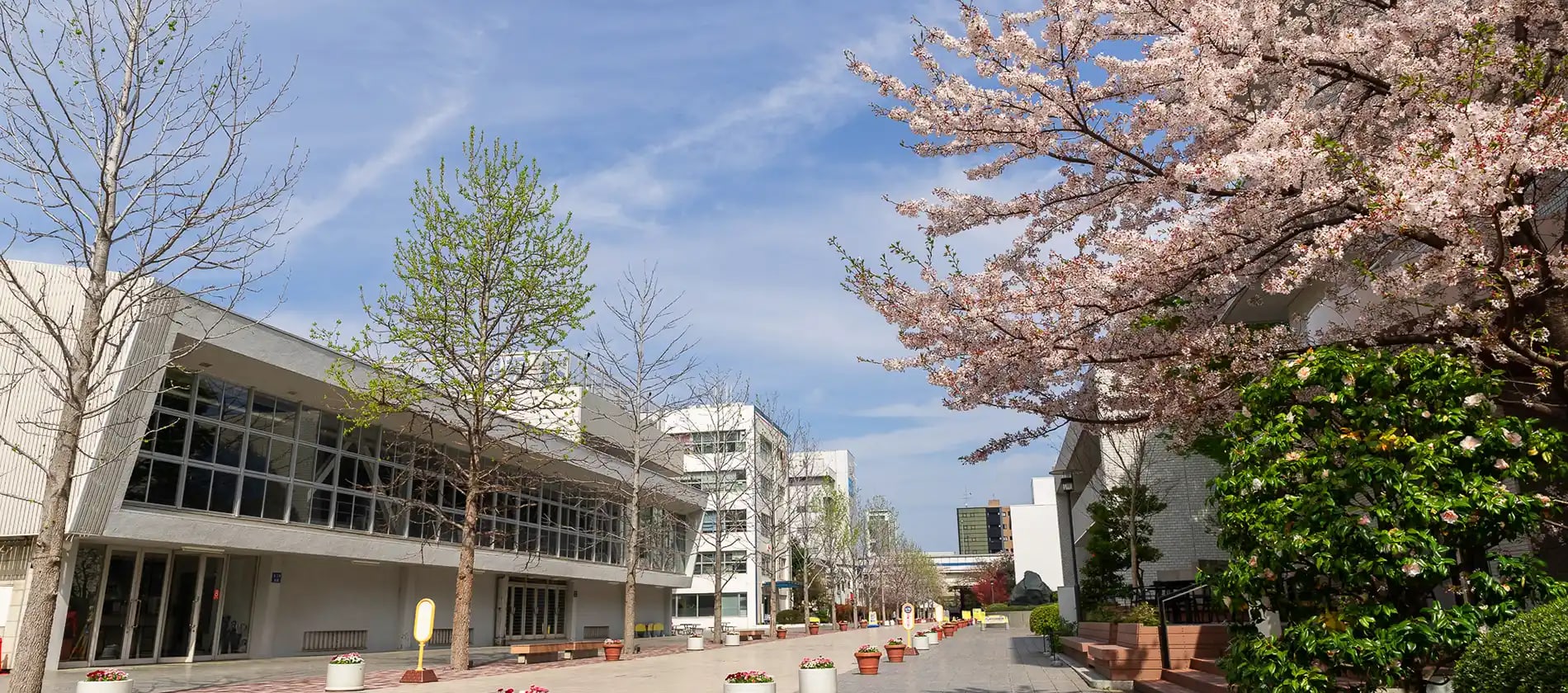 The British School in Tokyo