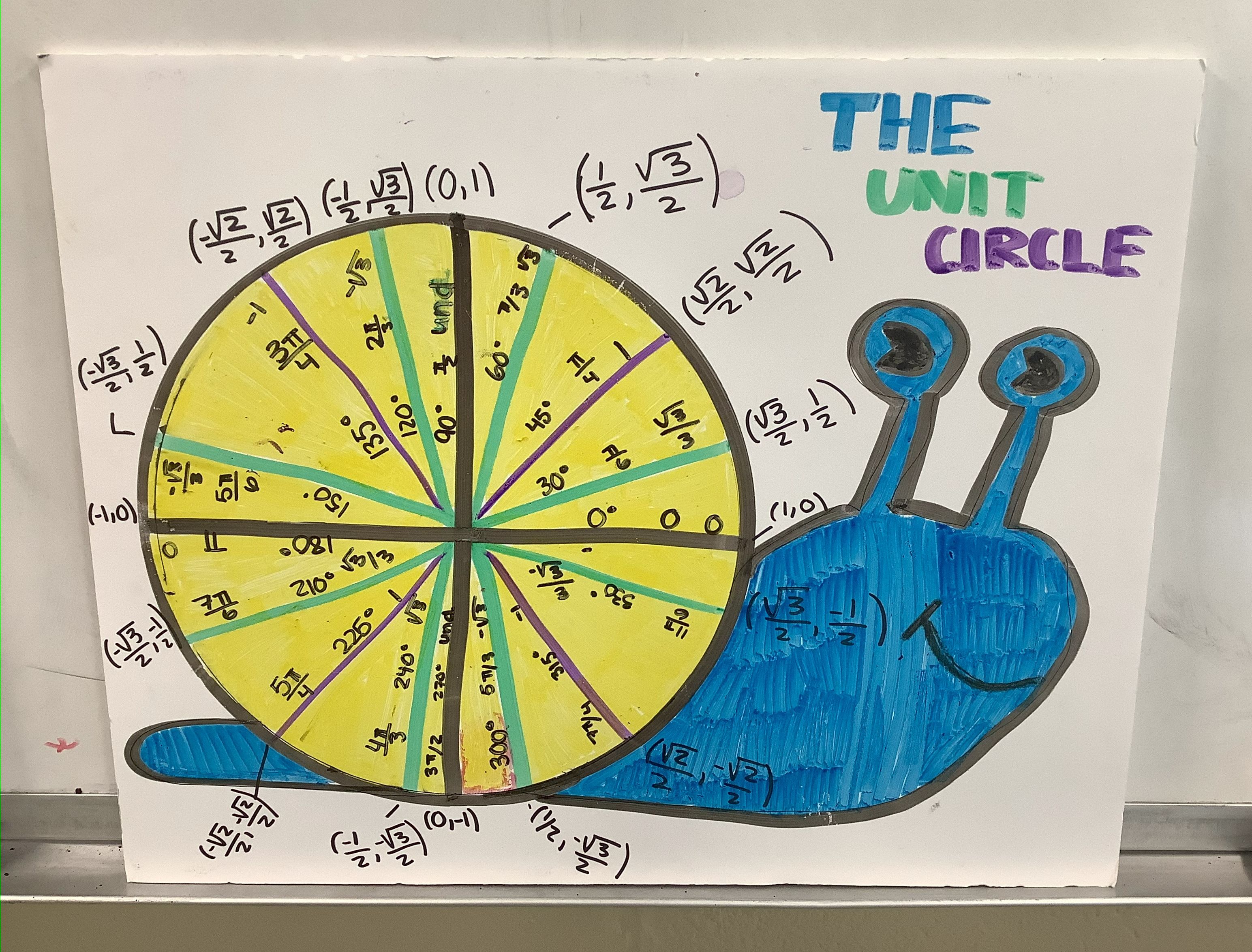 Student-created unit circle projects displayed in Precalculus classes.
