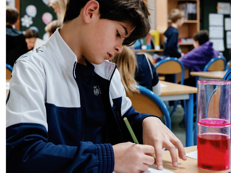 Mougins British International School — Classrooms