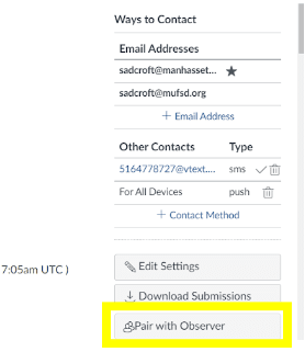 Canvas Pair with Observer option