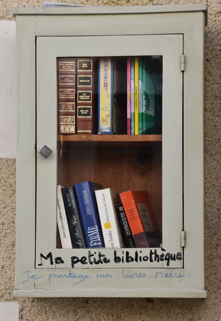 An RCPS student reading a book in the school library
