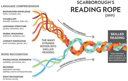 Scarborough's Reading Rope, showing word recognition and language comprehension strands weaving together into skilled reading