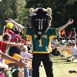 Wildebeest - Welcome