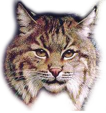 Mark Twain Elementary