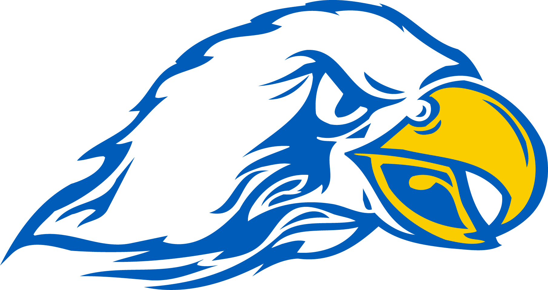 Olathe South High School