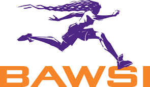BAWSI Logo image
