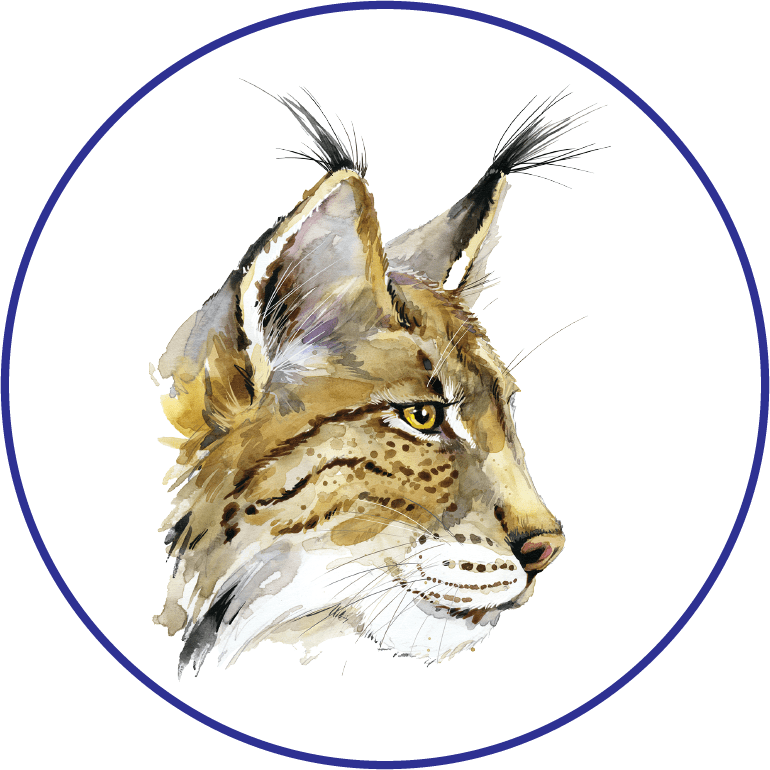 Elizabeth Blackwell Elementary