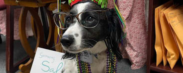 Piper, from the ECSD P.U.P. Program
