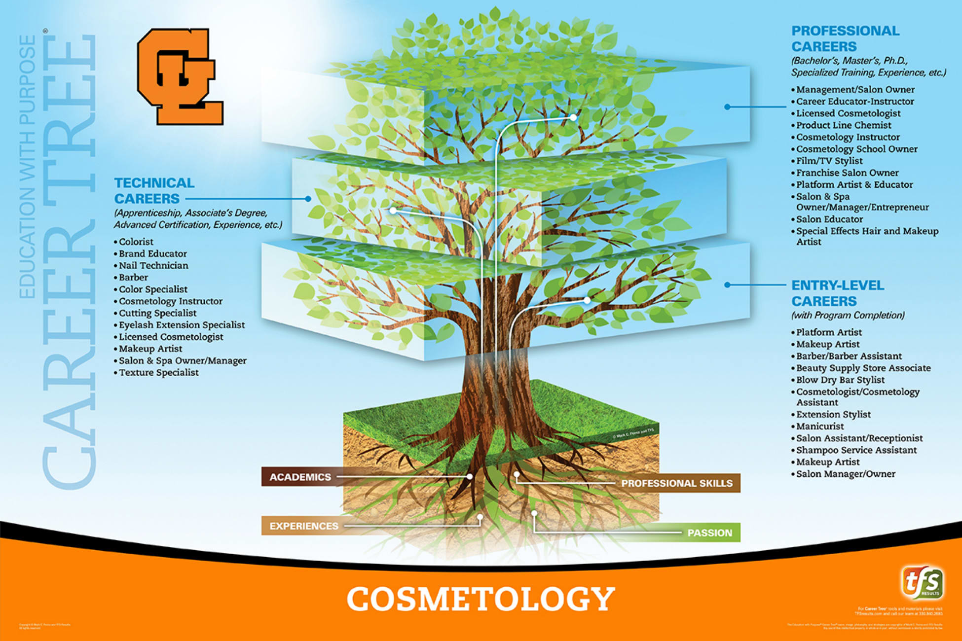 Cosmetology career pathways diagram showing various career options and educational requirements