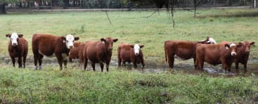 Honey Ridge Agricenter