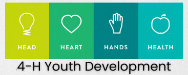 4-H Youth Development
