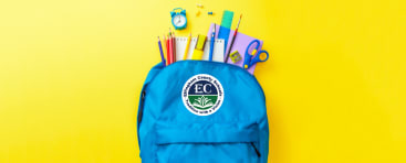 Student Enrollment graphic
