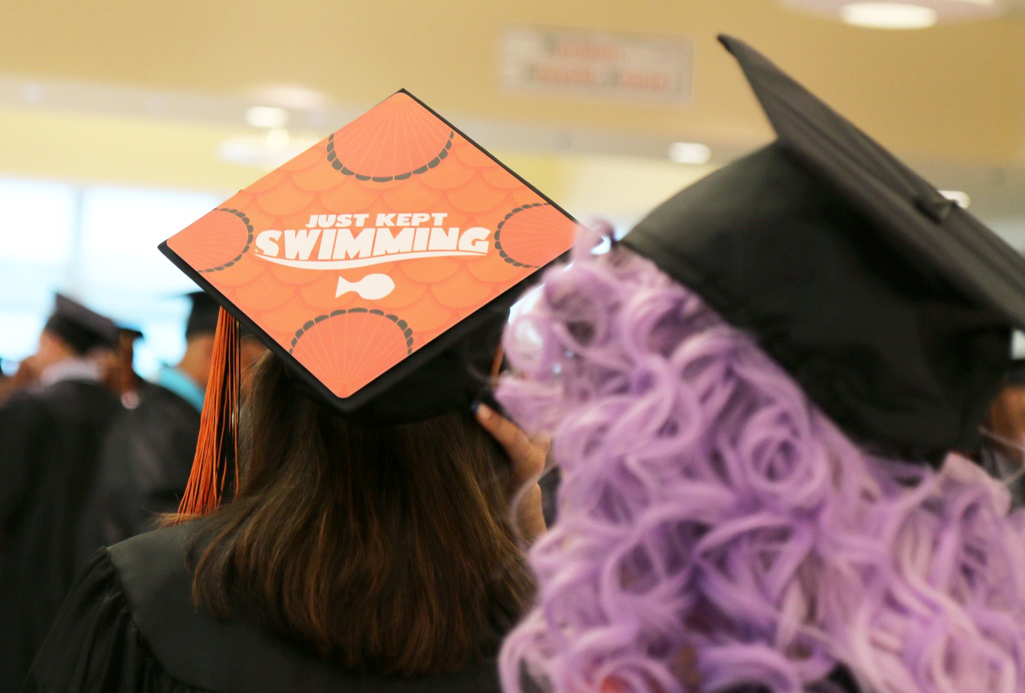 Graduation Image