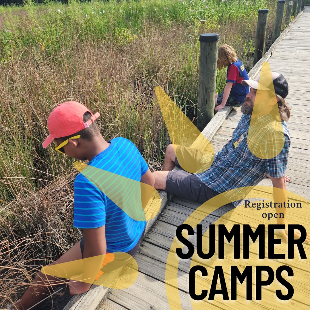 Summercamps.png