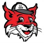 Bain Elementary School cougars mascot