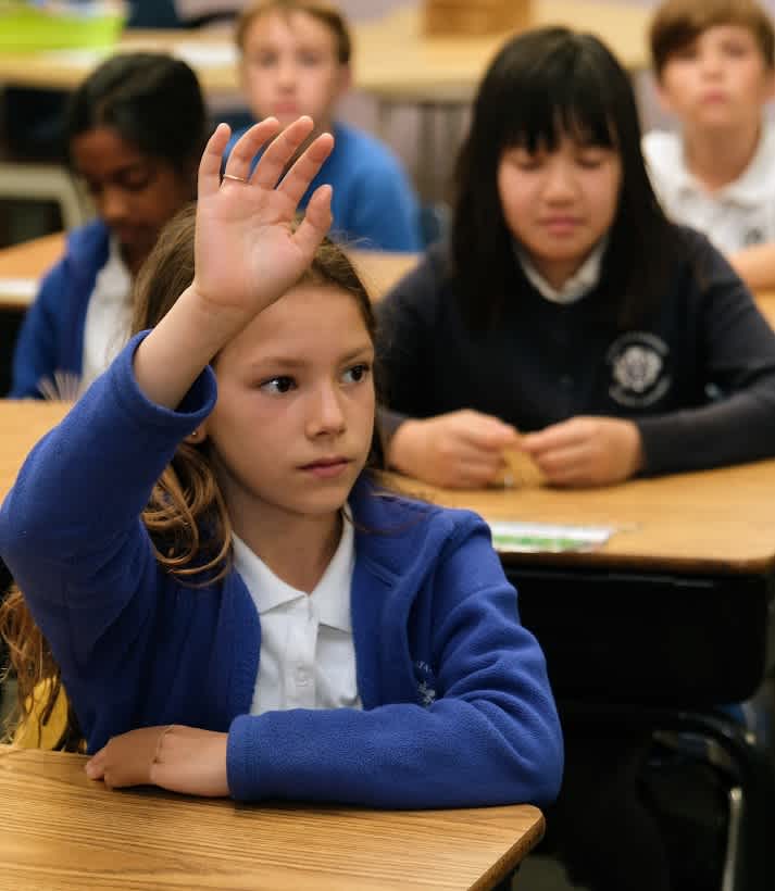 student raising their hand in class