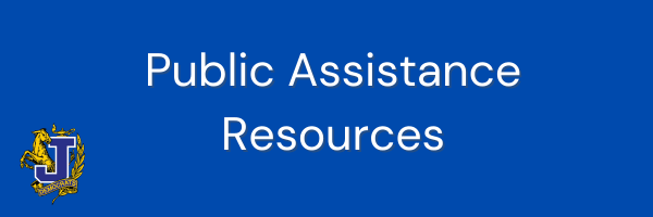 Public Assistance