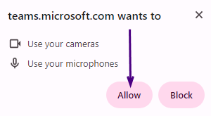 Screenshot showing dialog box to allow camera and microphone access. Click "Allow."