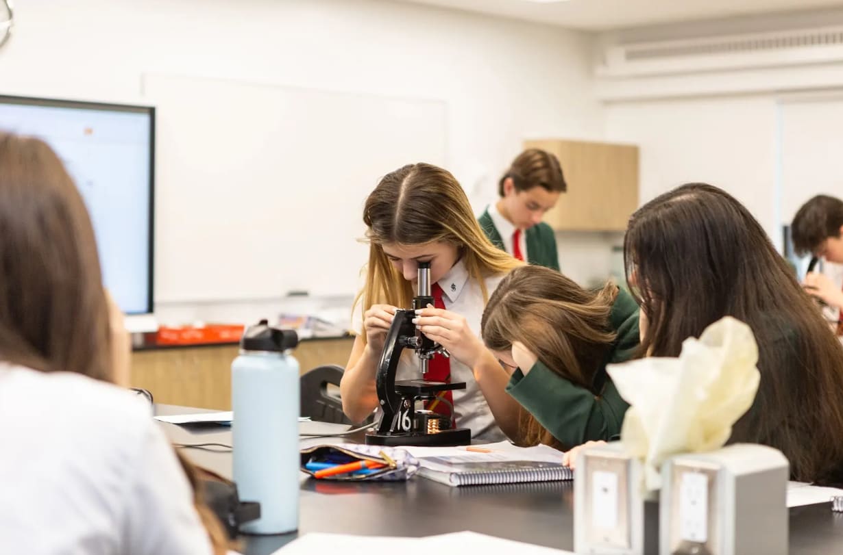 Senior students engaged in seminar discussion.