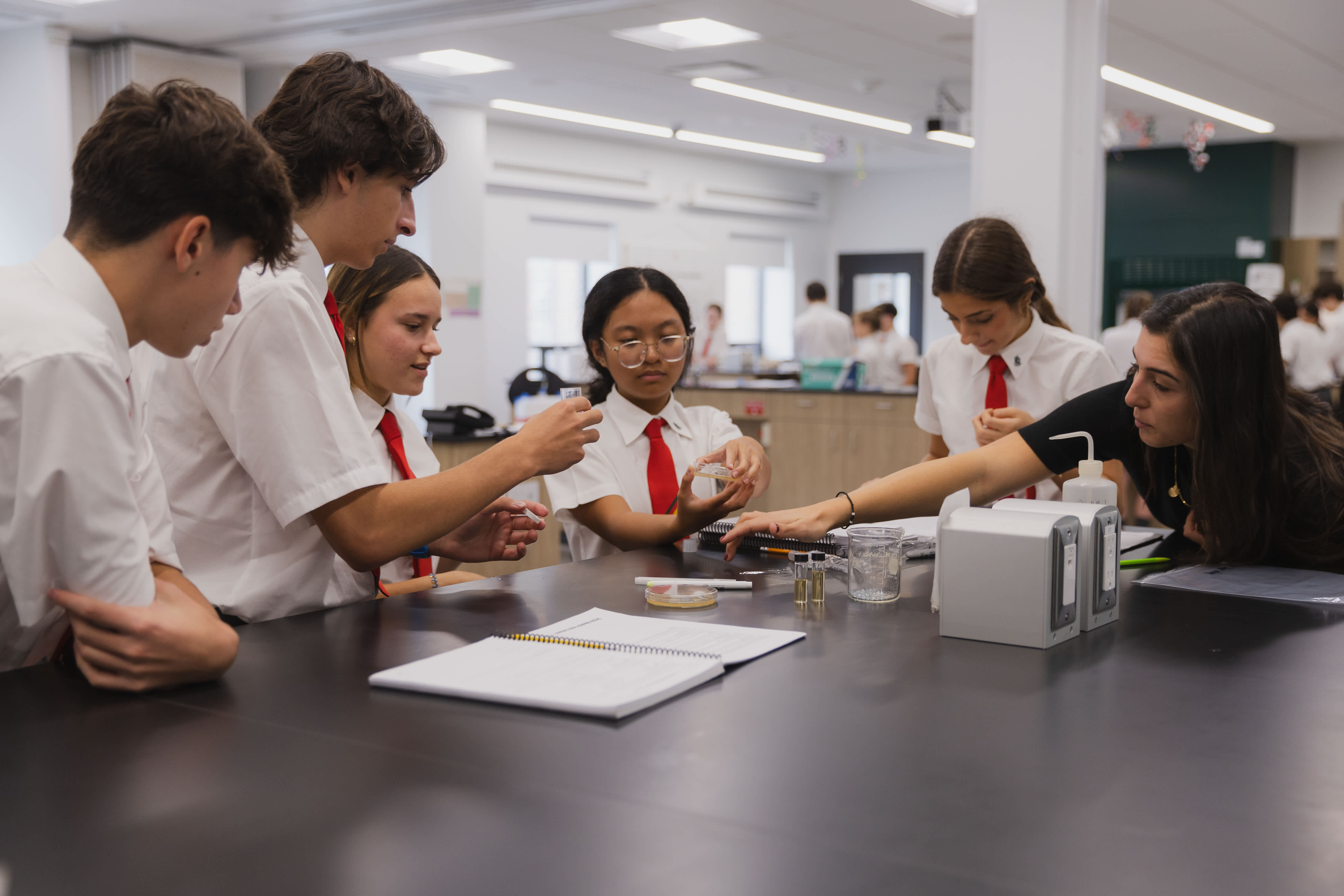Senior students in a science lab practical.